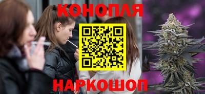 стаф Гусев