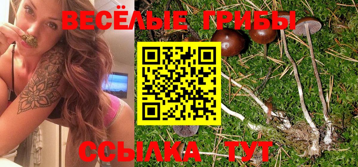 Псилоцибиновые грибы мухоморы Губаха